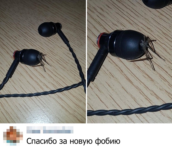 Чуток картинок 02.11.19