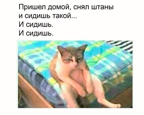 Подборка так себе картинок