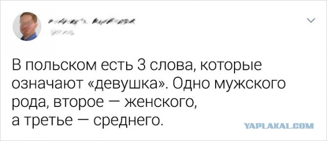 Немного фактов о разных языках мира