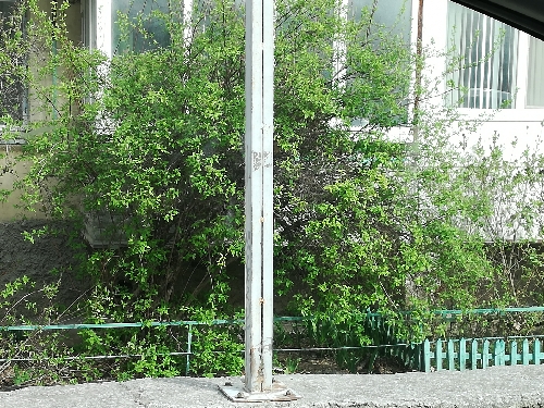 Нарвский. Страница старого блокнота