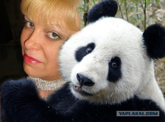 Не жабить!