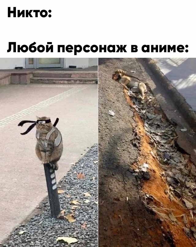 Весёлый полтишок 20.03