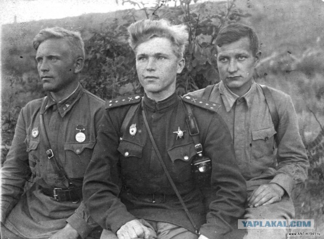 Почему в нашей стране Жеглов гораздо популярнее Шарапова?