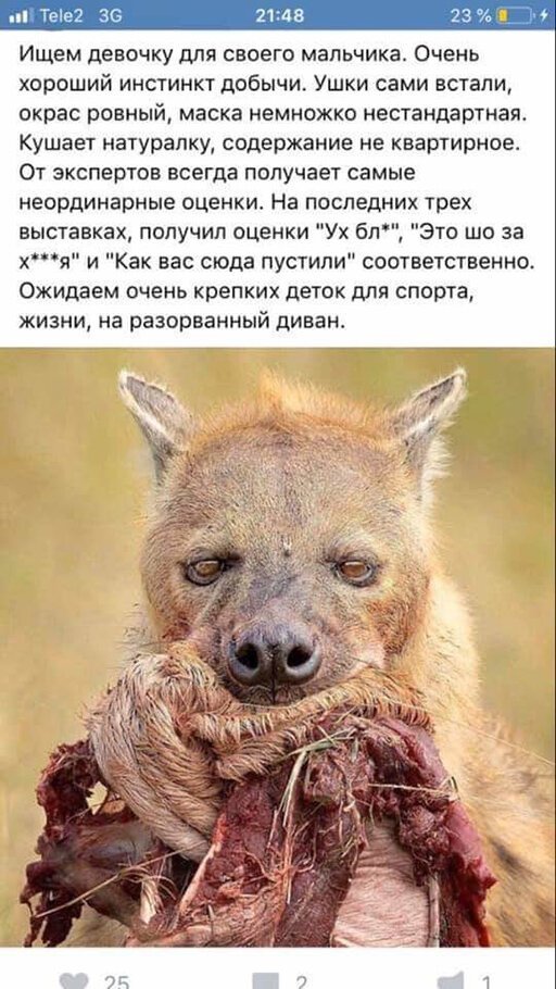 Это прикол?