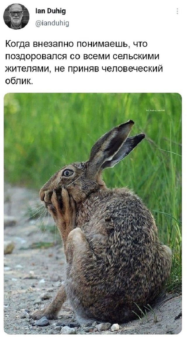 Картинки на вчера