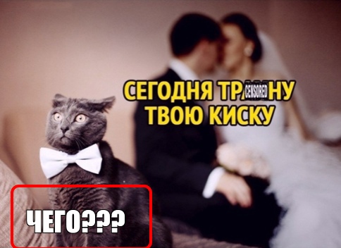 Так себе картинки 20.08.21
