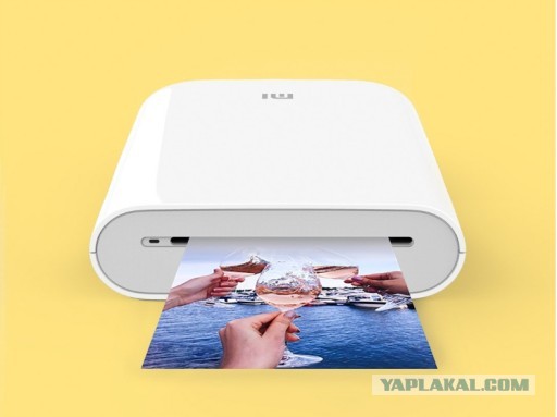 Как обанкротили фирму Polaroid