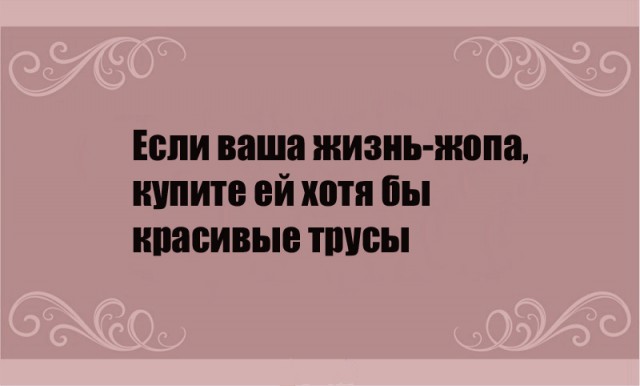 Весёлый полтишок 31.08