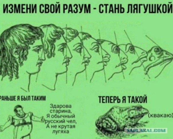 Учат в школе, учат в школе...