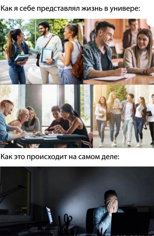 Весёлый полтишок 05.11