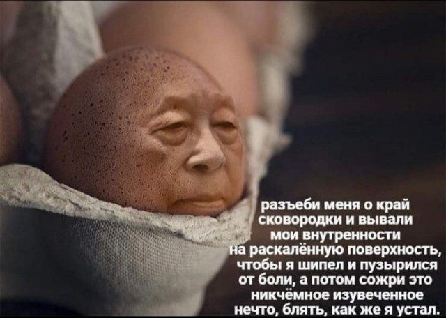 Всяческие картинки 01.12.2021