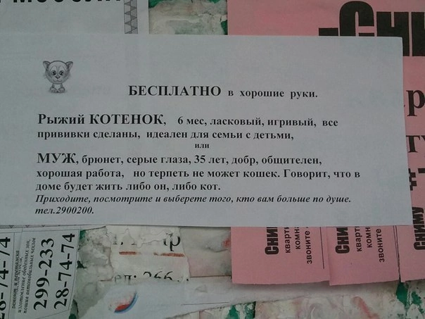 Почему мы изменяем? Отвечают сами женщины!
