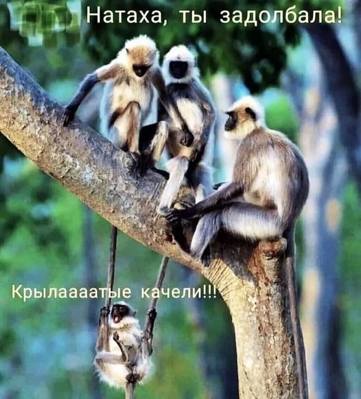 Понедельник начинается с деградации...