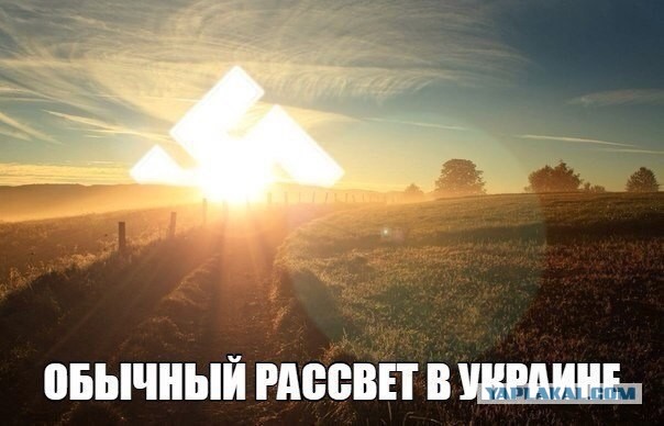 Погиб герой одного из репортажей, танкист Дамир Шаймарданов