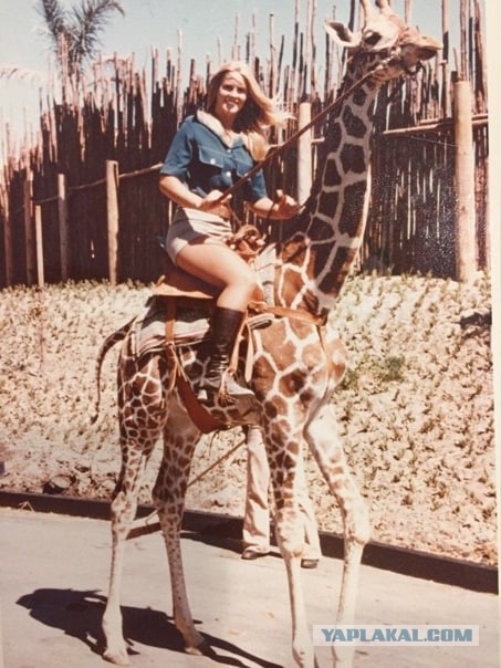 Редкие кадры и архивные снимки 22.06.2022