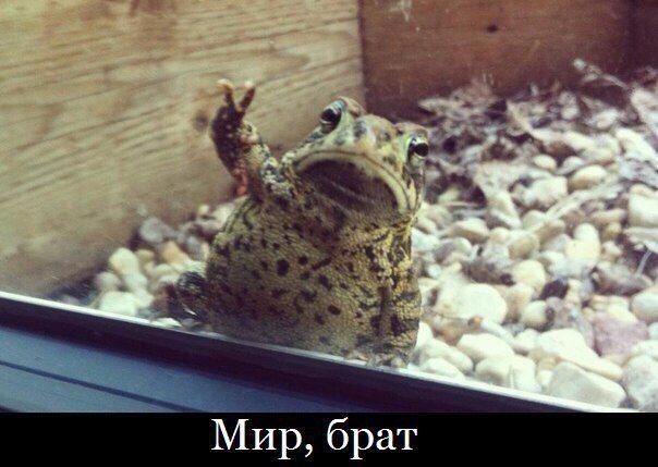 Так себе картинки 01.07.22