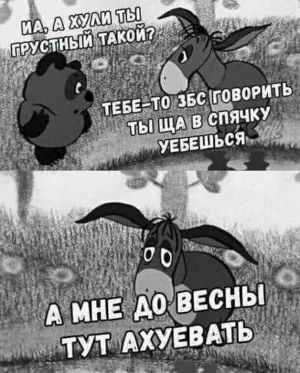 Юмор в картинках и без