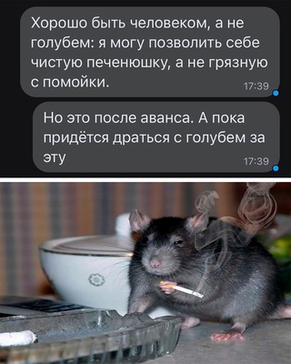 Картинки и мемы. Выходные близко...