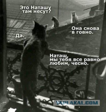 Картинки и мемы для настроения - 133