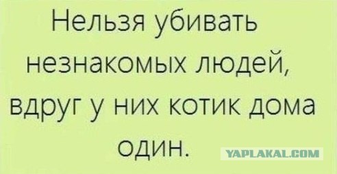 Судья в инете "Я тебя вычислю по ip"