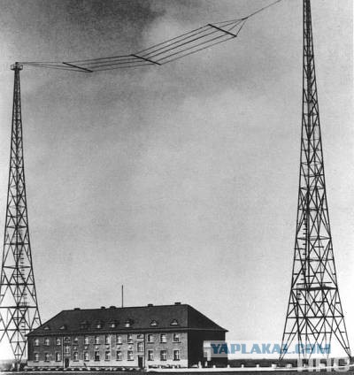 Жертвы терактов 9/11