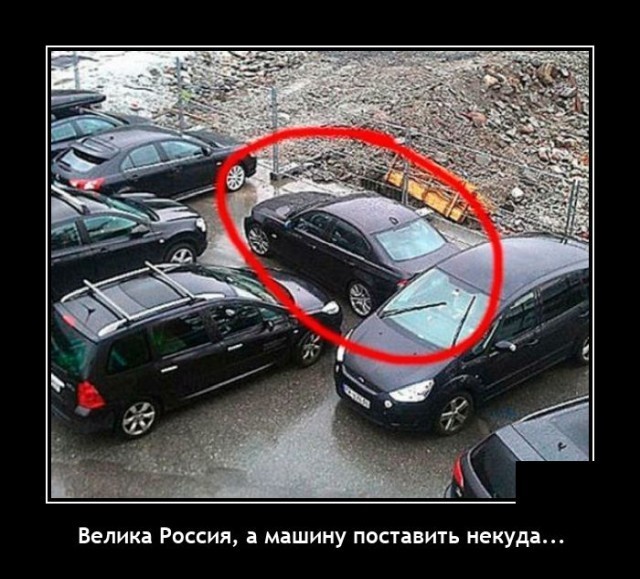 Весёлый полтишок 08.05.23