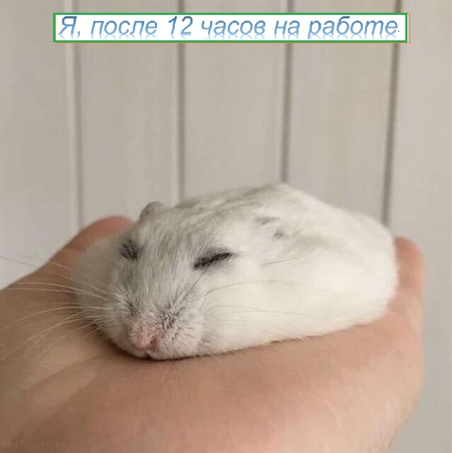 Картинки разные, возможны баяны
