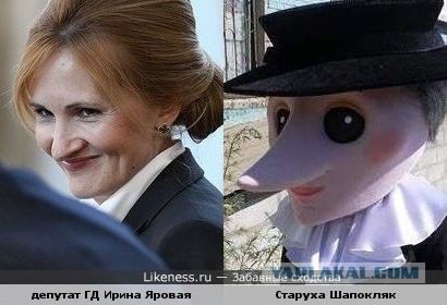 Мизулина покинет Совет федерации в сентябре