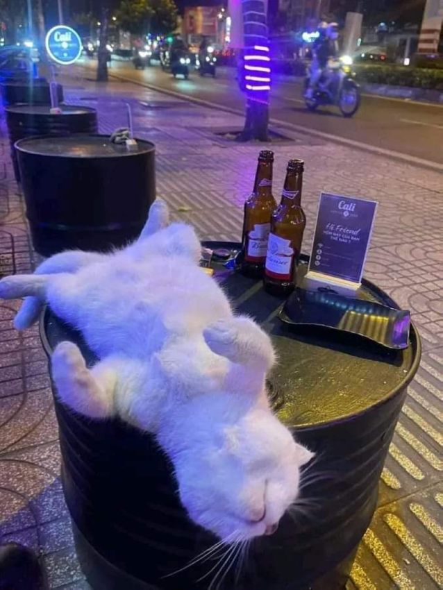 Уморные пикчи