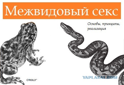 В Якутии на празднике в честь дня МВД подполковник полиции попытался разнять дерущихся коллег и впал в кому