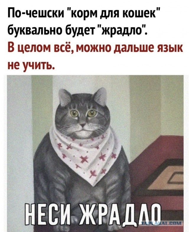 «Будет русский вариант слова "бургер", будем его использовать»