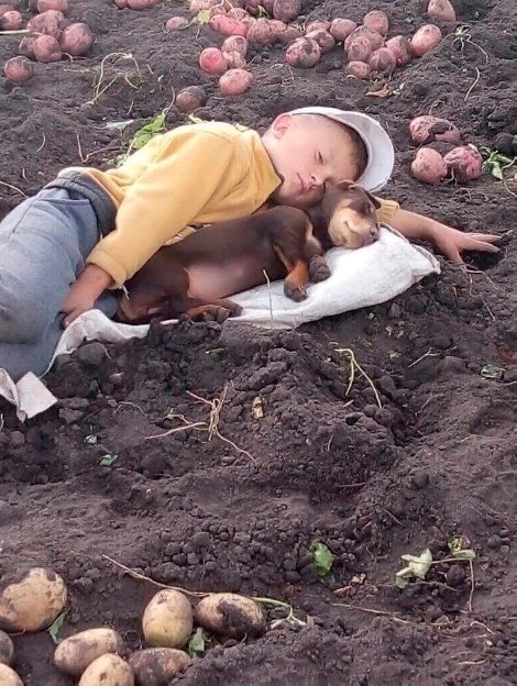 ФотоВинегрет