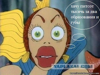 Девушка ищет достойную работу (4 фото)