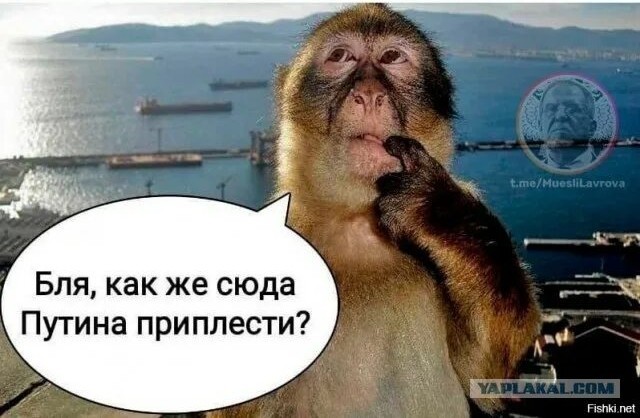 Всего один пик