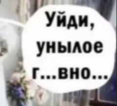Веселые картинки к понедельнику (21.10)