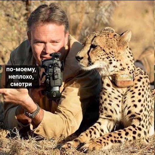 Я и фотогеничность