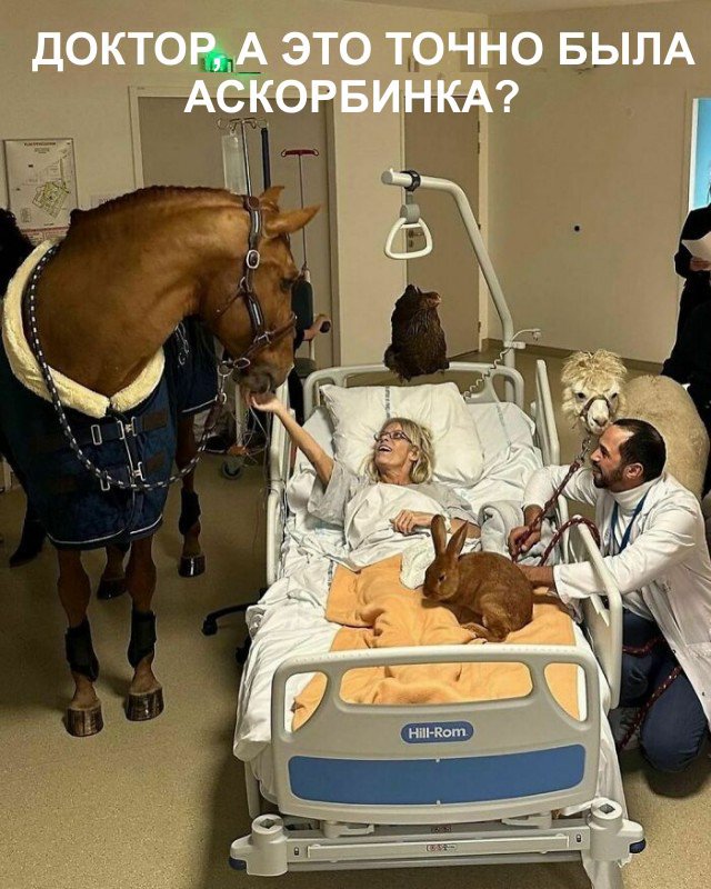 Фотосмесь 27.10.24