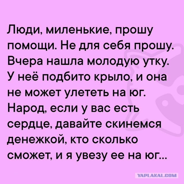Так себе картинки 12.02.25