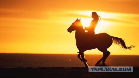 Суровый стоп хам.