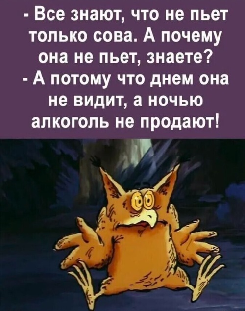 Весёлый полтишок 13.07.25