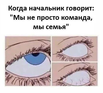 Пятничные бояны