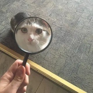 Сударыня Тударыня
