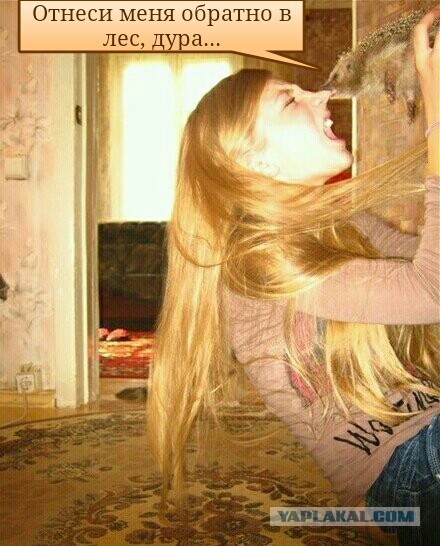 Милейшее создание