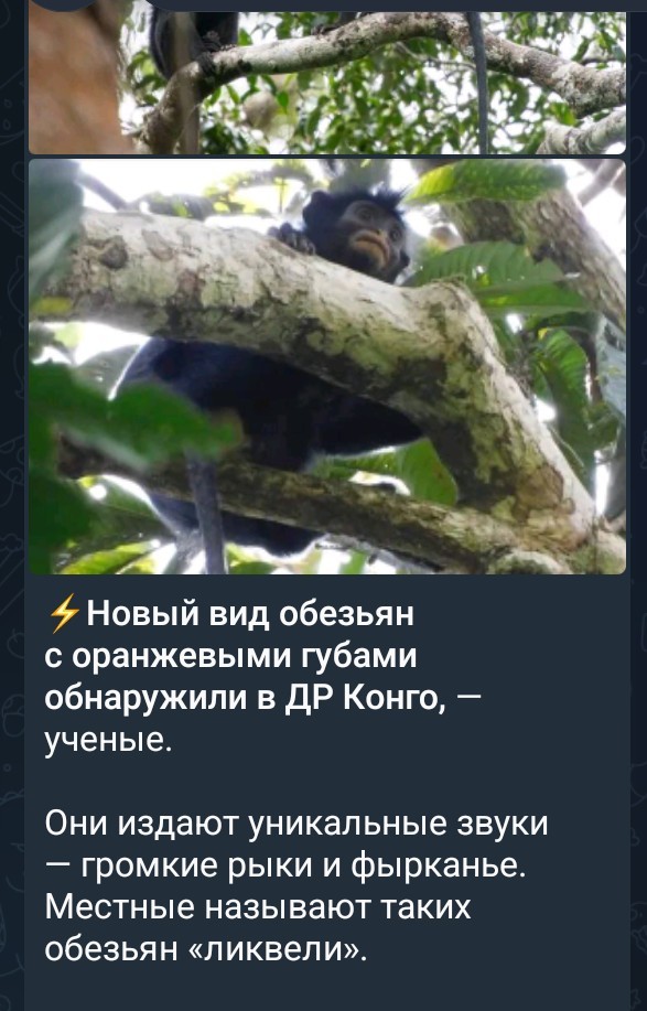 Хер знает кто это