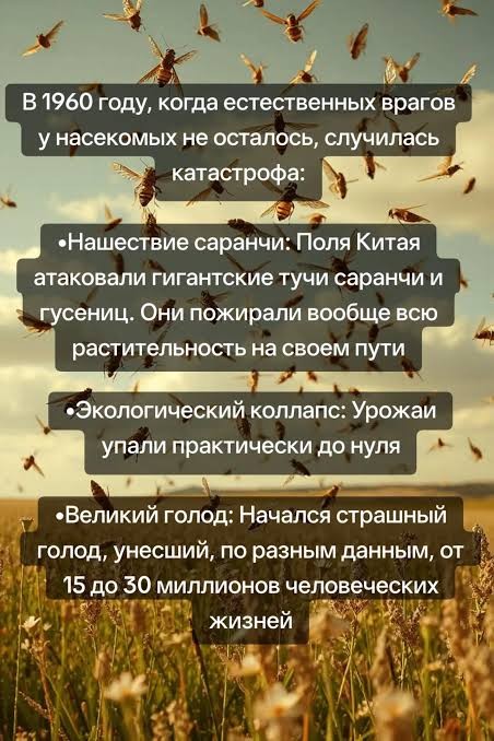 Воробьёв снова пересчитают по всей России