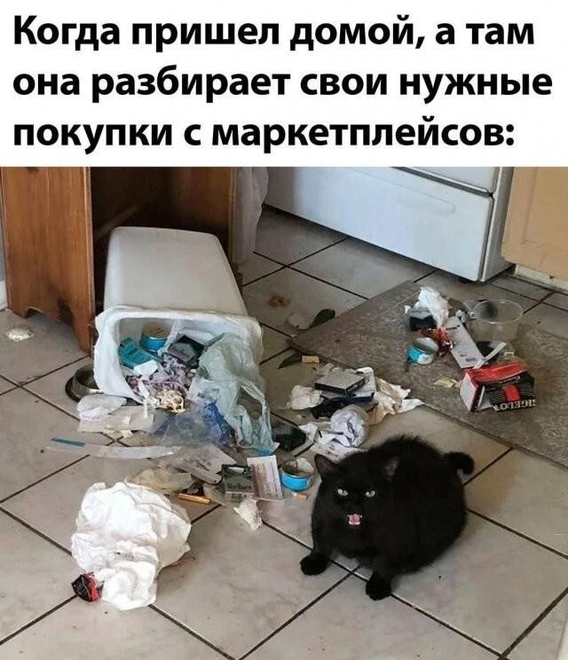 Веселое настроение в картинках 01.08.26