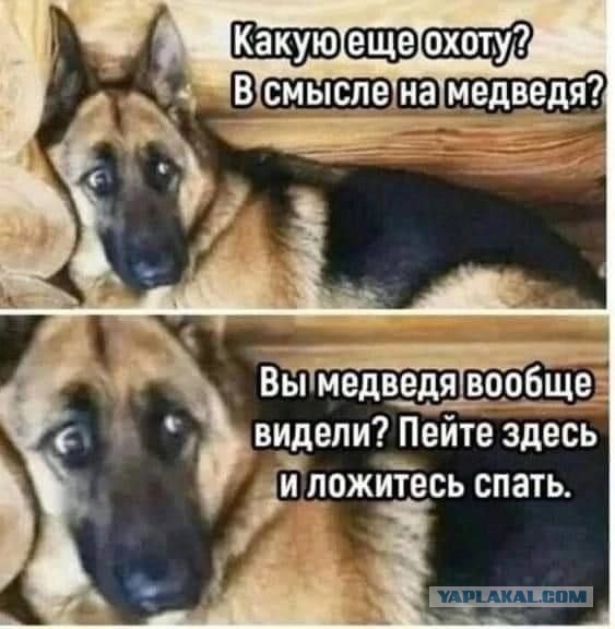 А куда пропали охотники?