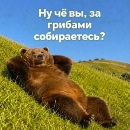 И в лес ходить не надо!