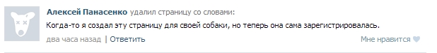 Смешные комментарии из социальных сетей