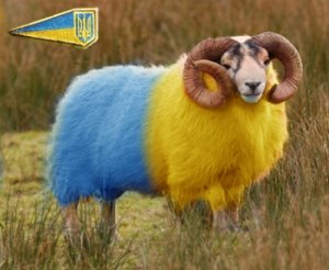 Запущена первая социальная сеть для украинцев